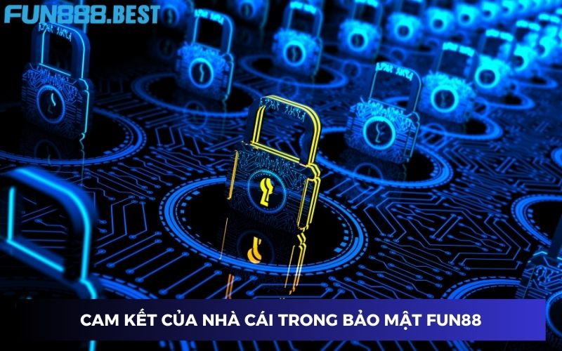 Cam kết của hệ thống trong chính sách bảo vệ thông tin